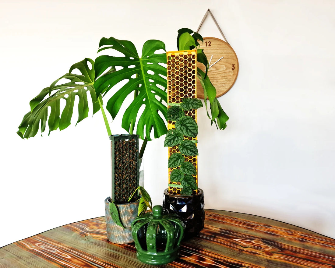 Why did we create a D-shaped moss pole?
