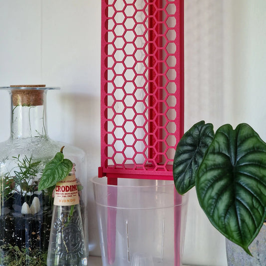 moss pole monstera