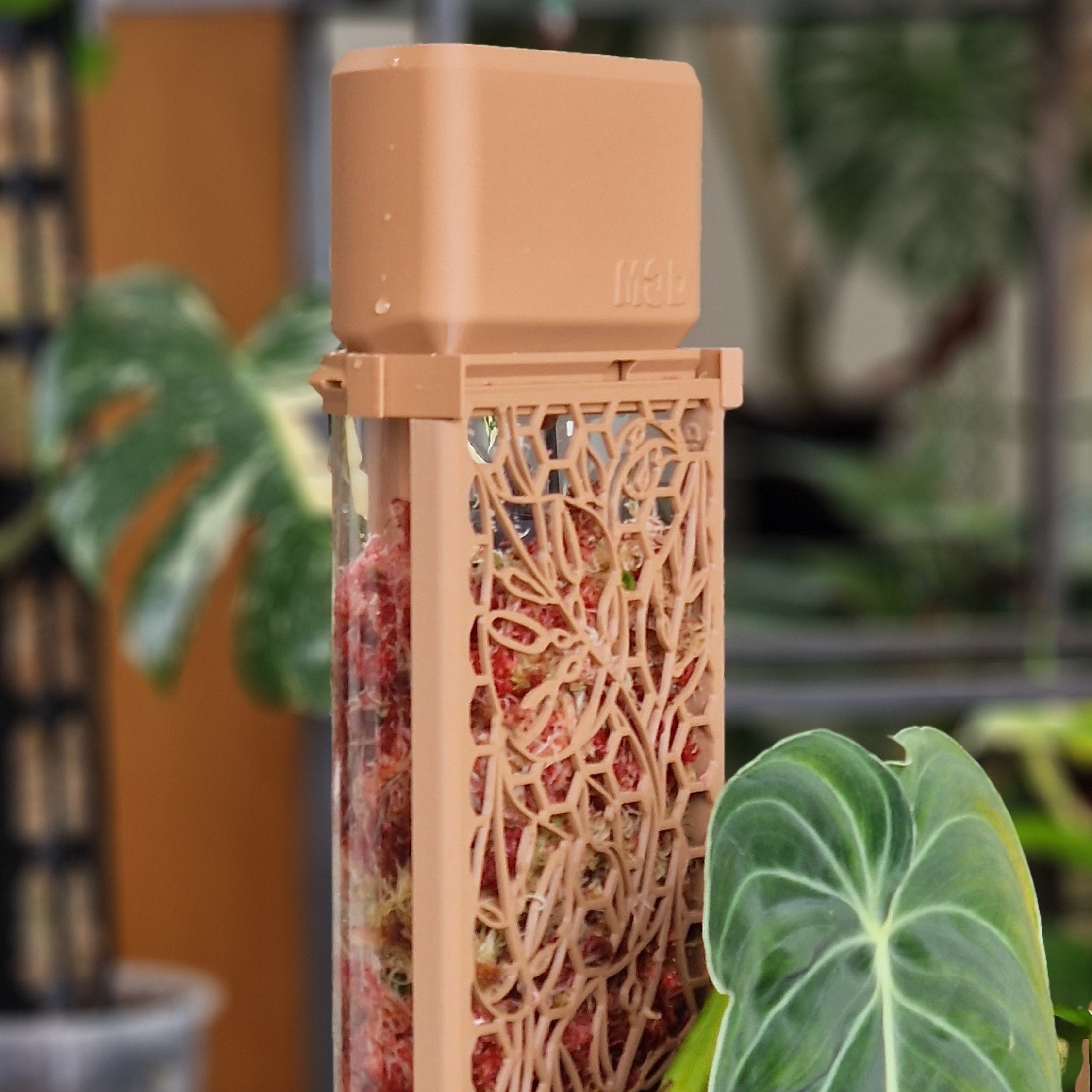 Moss Pole Watering