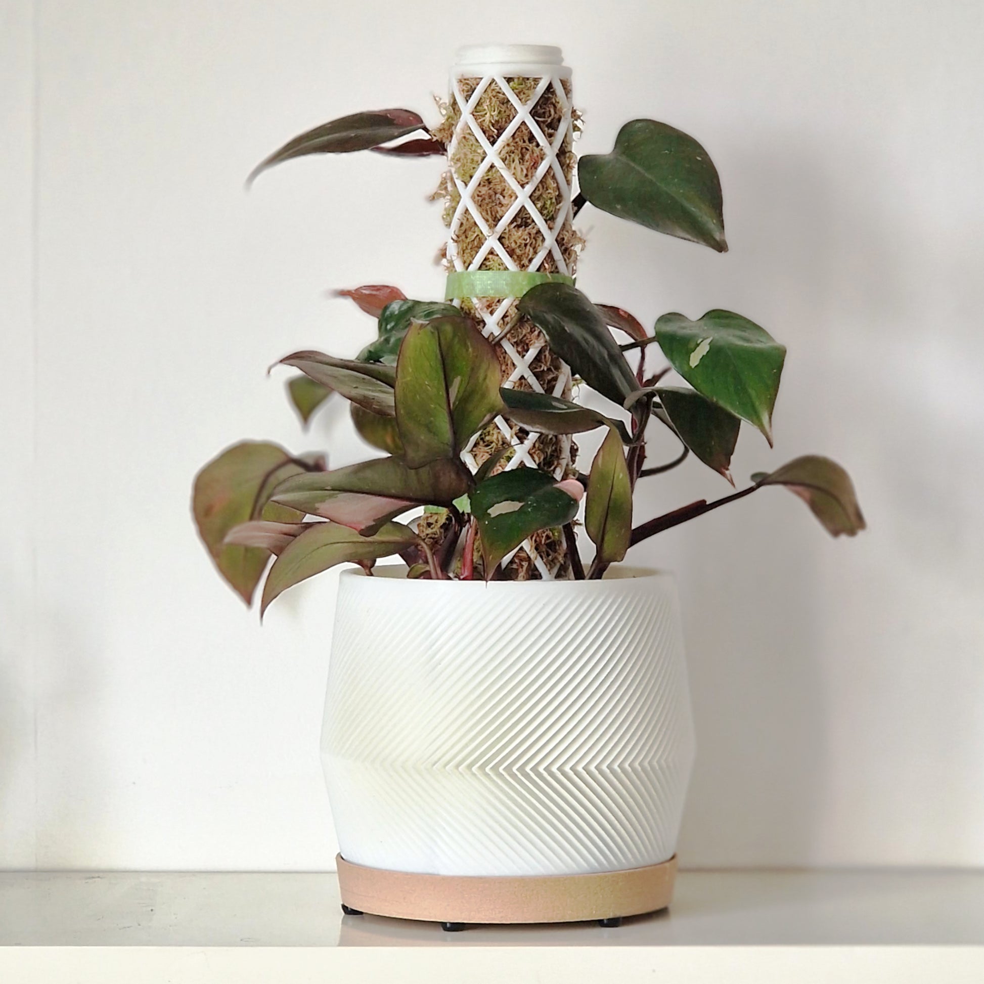 Moss pole planter - integrated moss pole - Kuutar from M3D