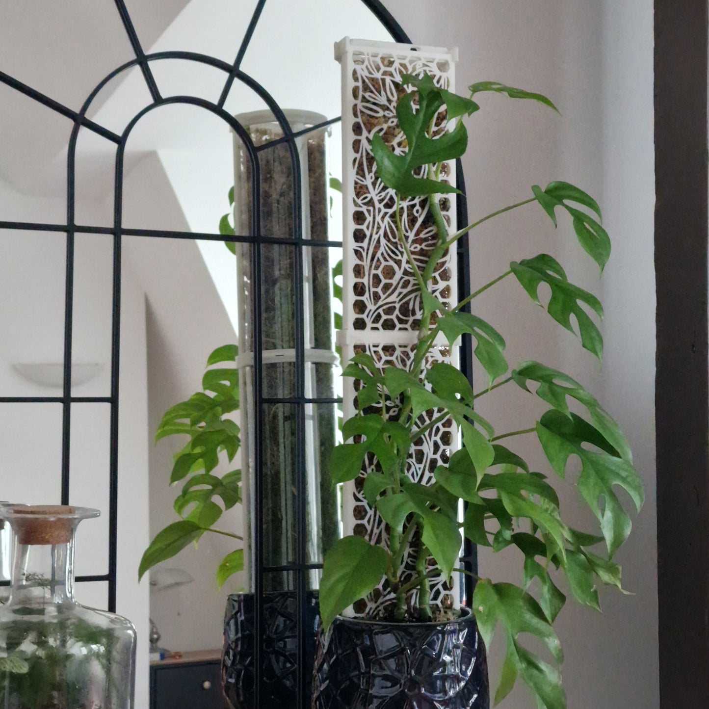 D-Shaped Moss Pole - Monstera Pattern