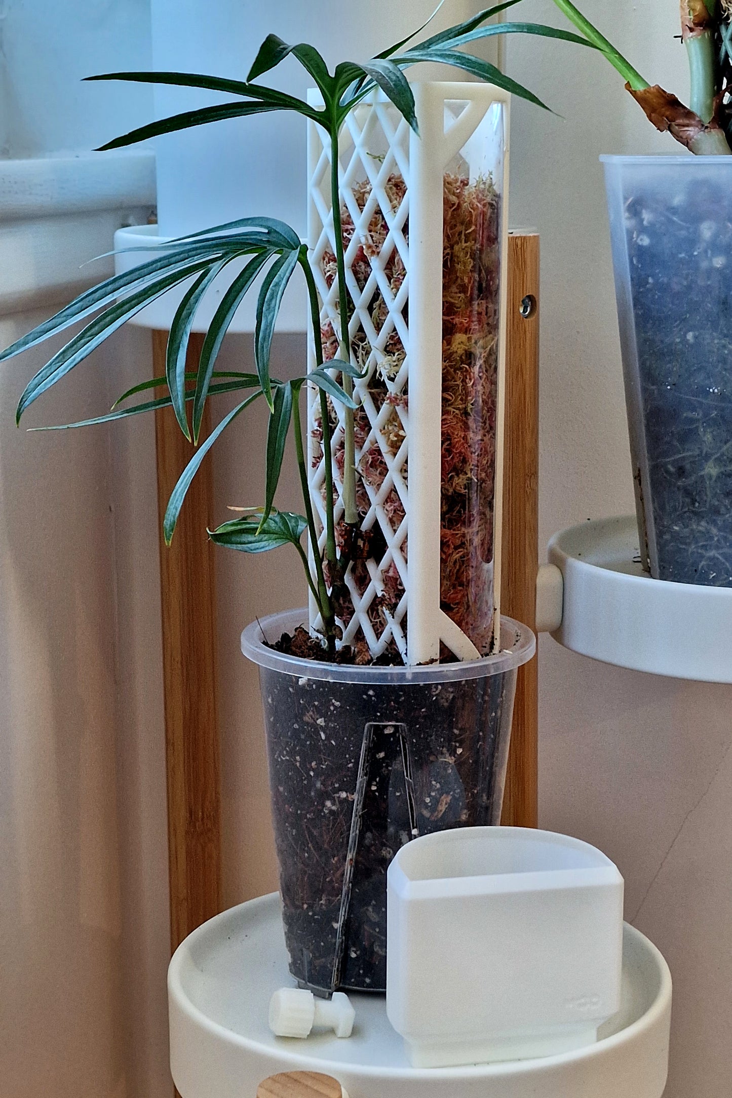 Demi-D-Shaped Moss Pole Kit with SlowDrip Cap (Diamond Pattern)