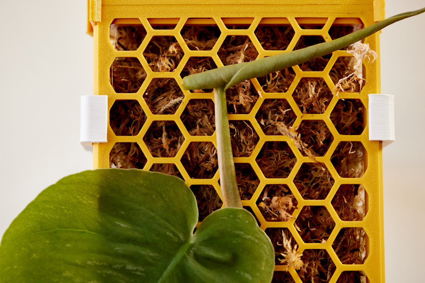 D-Shaped Moss Pole - Honeycomb Pattern