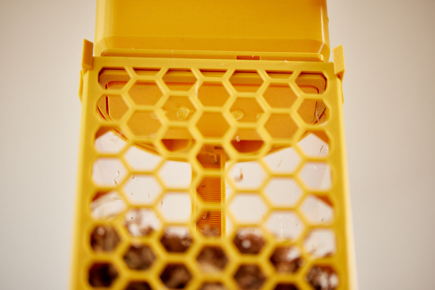 D-Pole SlowDrip Watering Cap