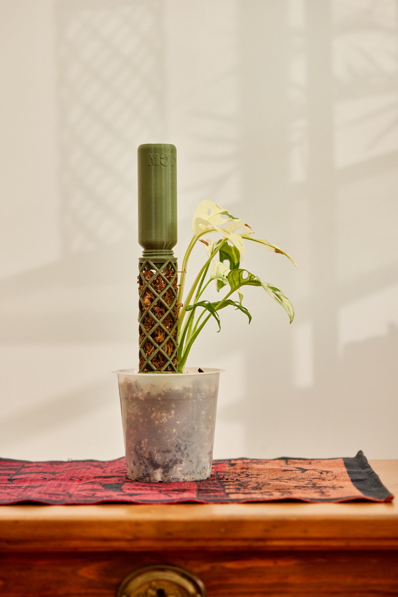 moss pole small L-Line Modular Moss Pole Kit - Small Moss Poles for Plant Babies 60 cm Kit