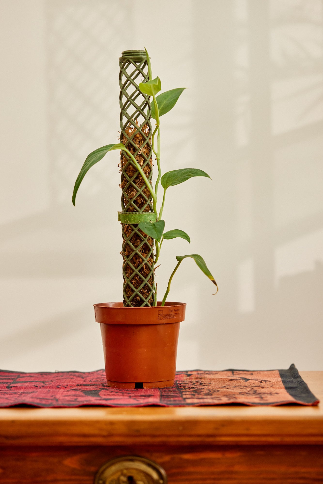 L-Line Modular Moss Pole
