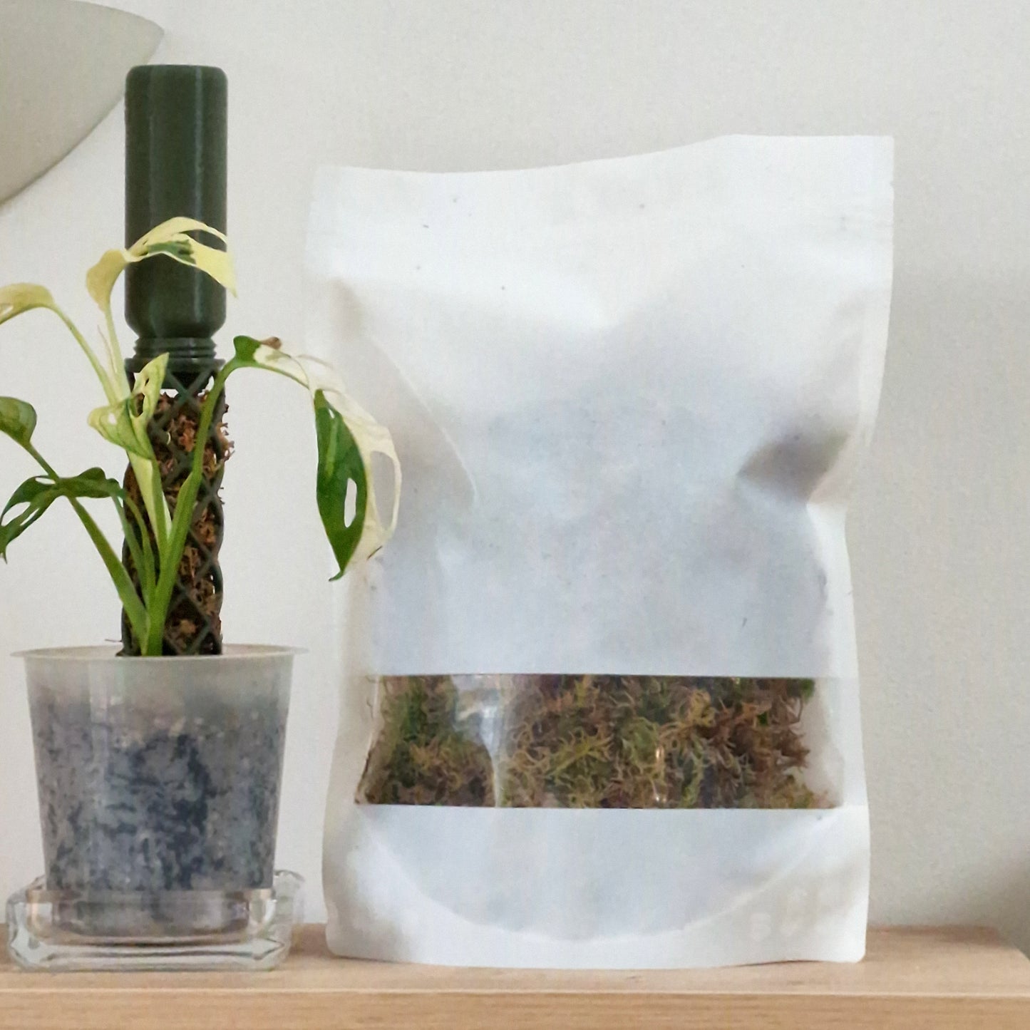 A bag of sphagnum moss next to a plant