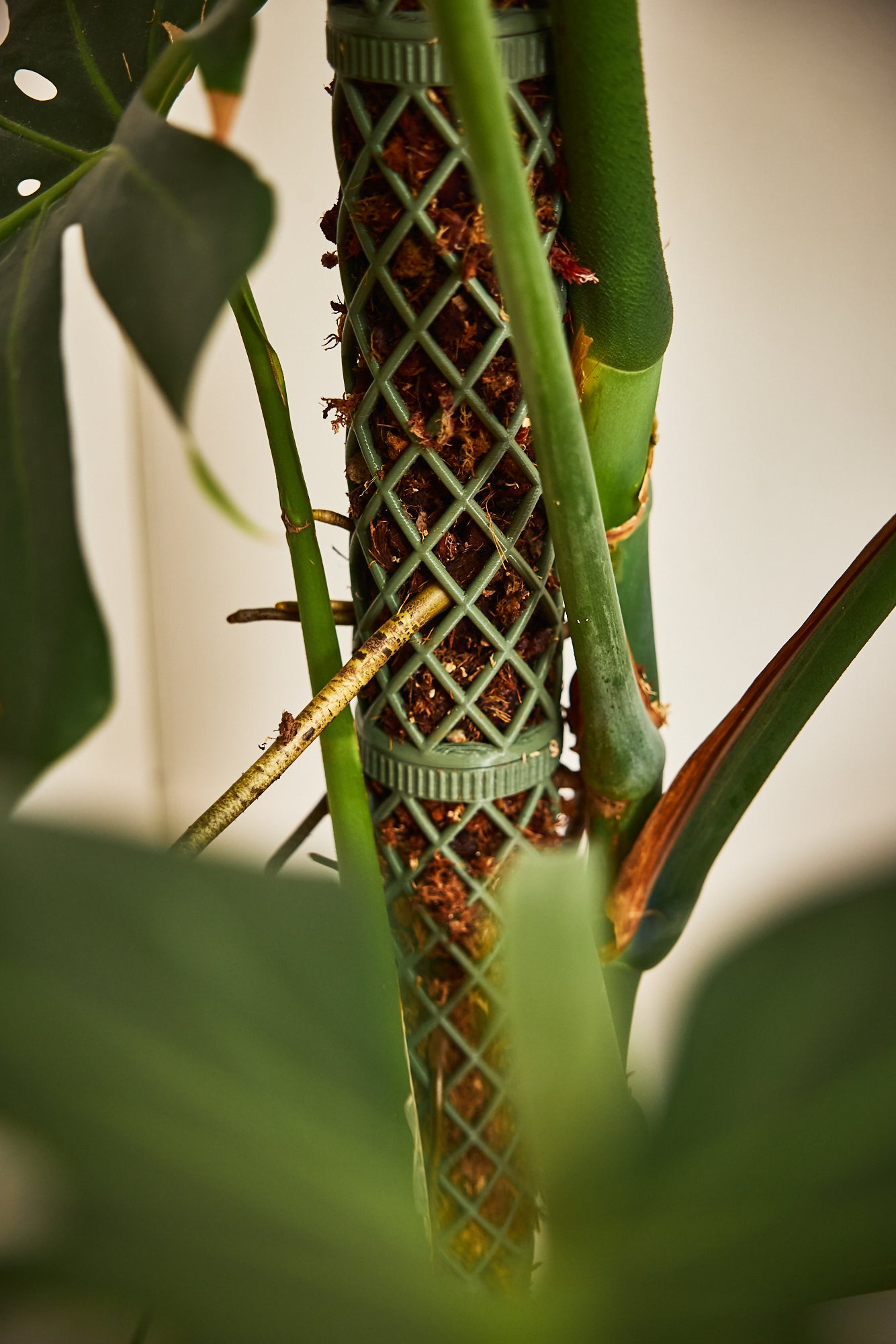 XXL-Line Modular Moss Pole