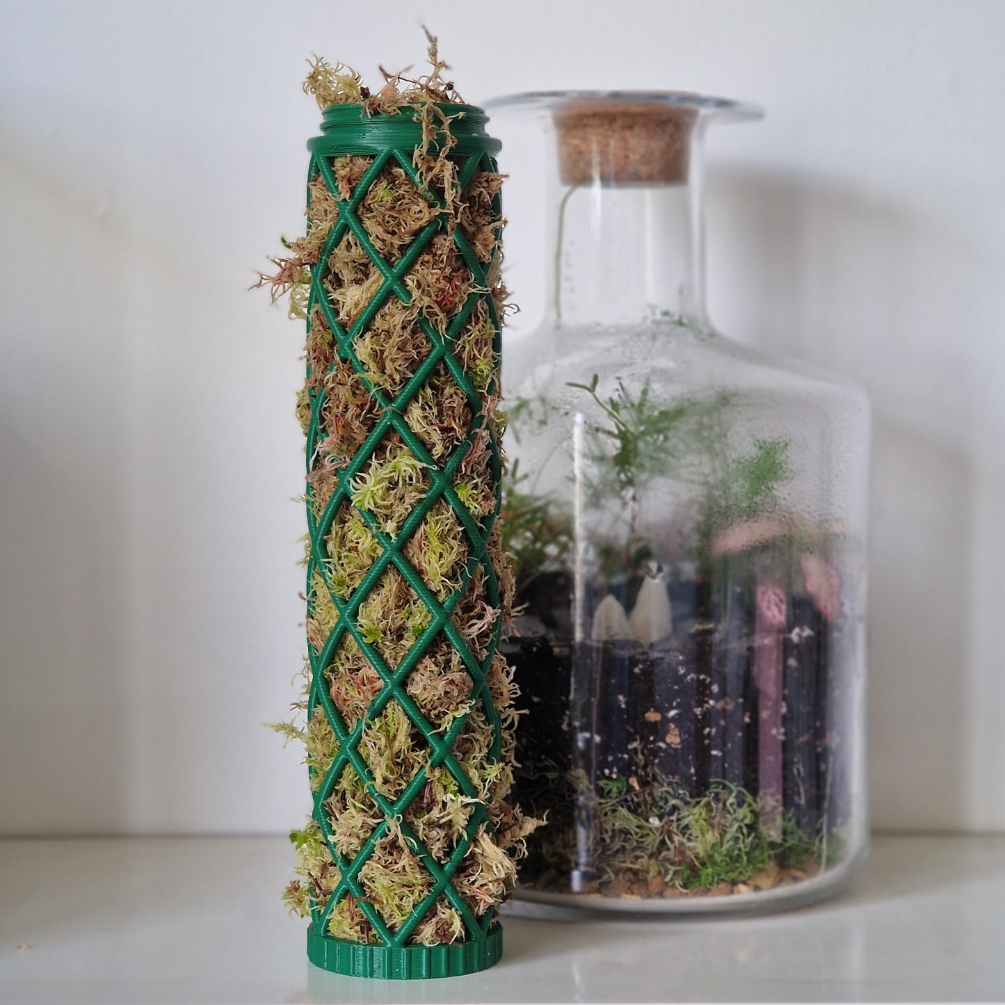 Pine Green extension