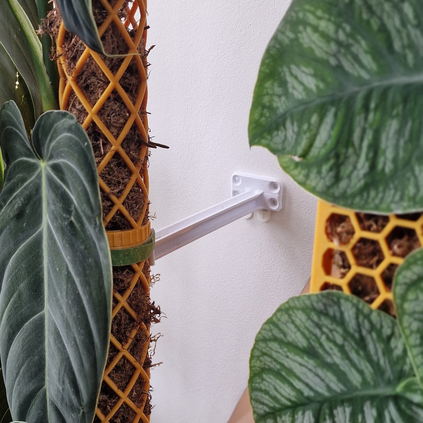 XL-Line Wall Bracket for Securing XL Moss Poles