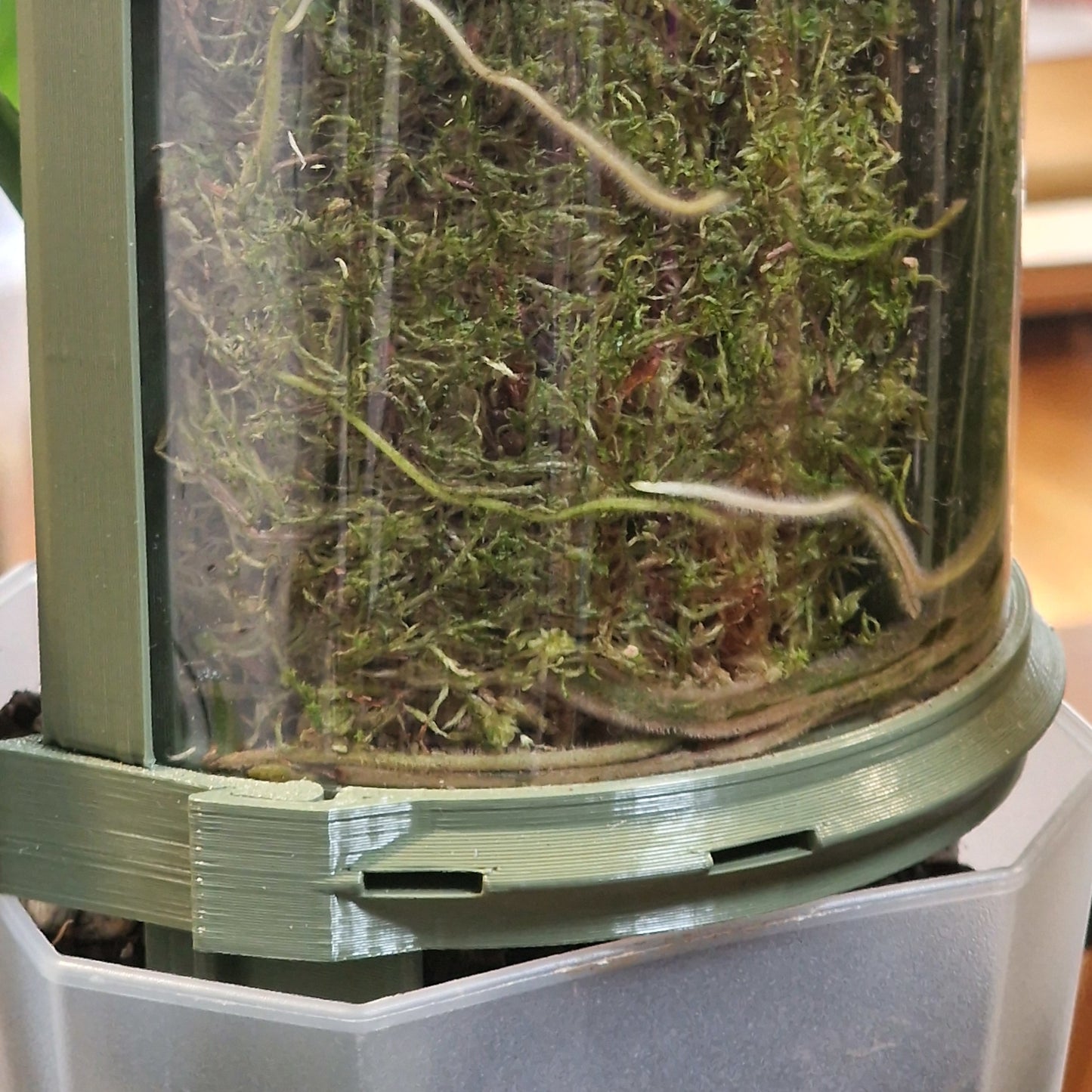 D-Shaped Moss Pole - Monstera Pattern