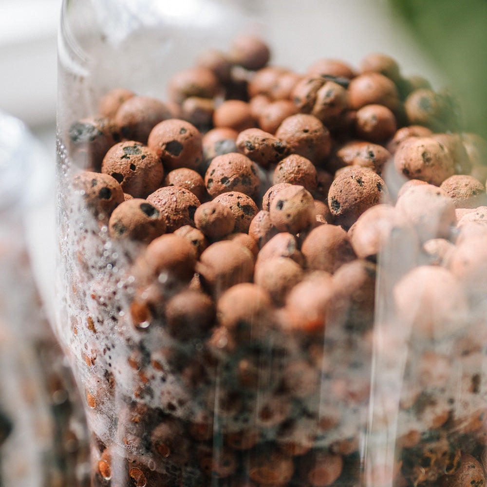 Substrate - Clay Pebbles - 2.5 Litre
