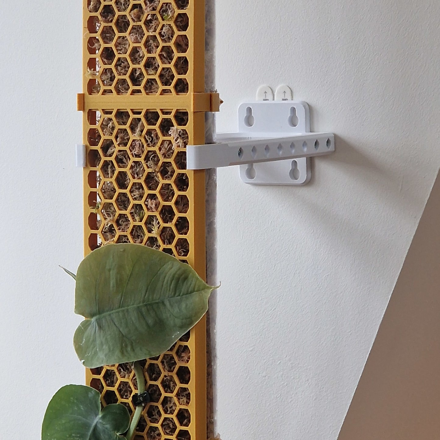D-Pole Bracket
