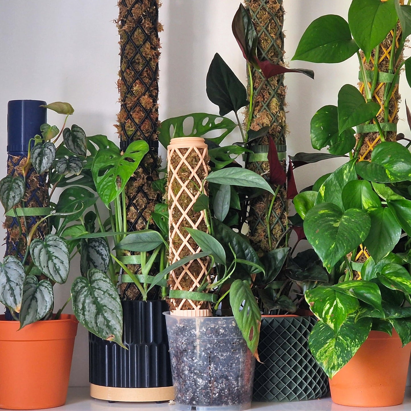 XL-Line Modular Moss Pole