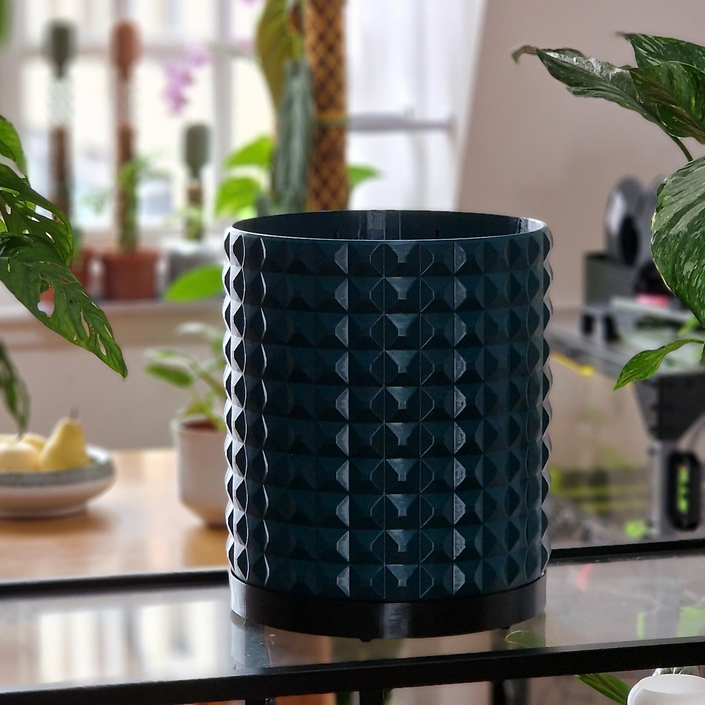 Aqua planter with black cache plate