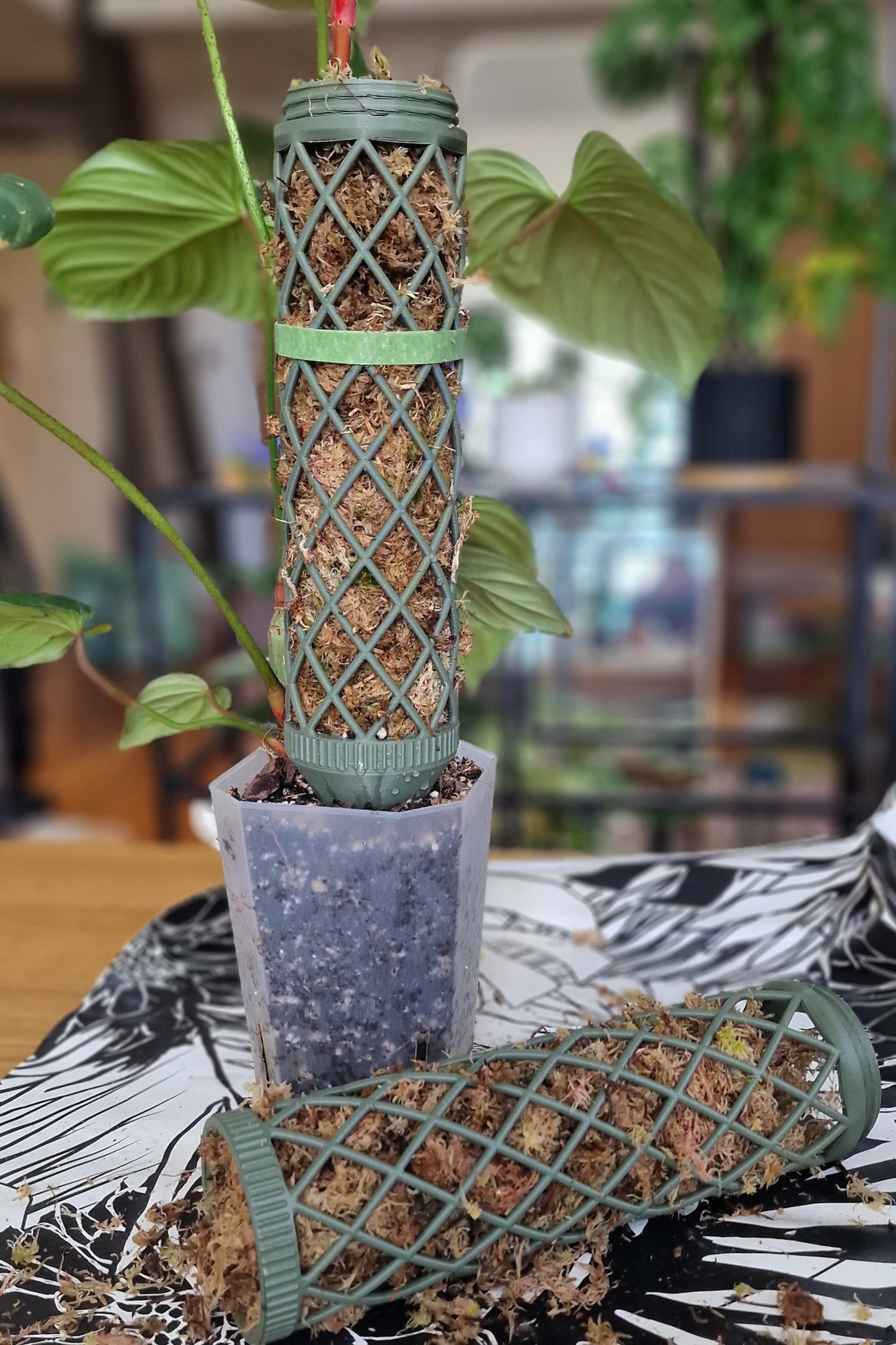 XXL Modular Moss Pole Assembly process