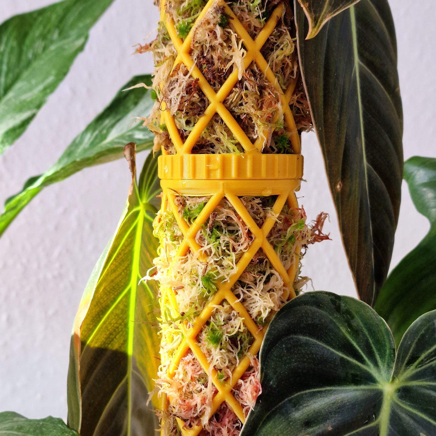 XL-Line Modular Moss Pole