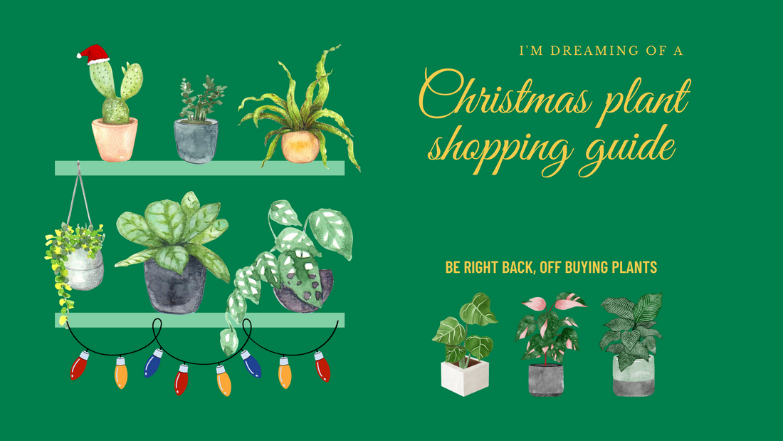 The ultimate holiday gift list for plant parents - gift guide for green thumbs