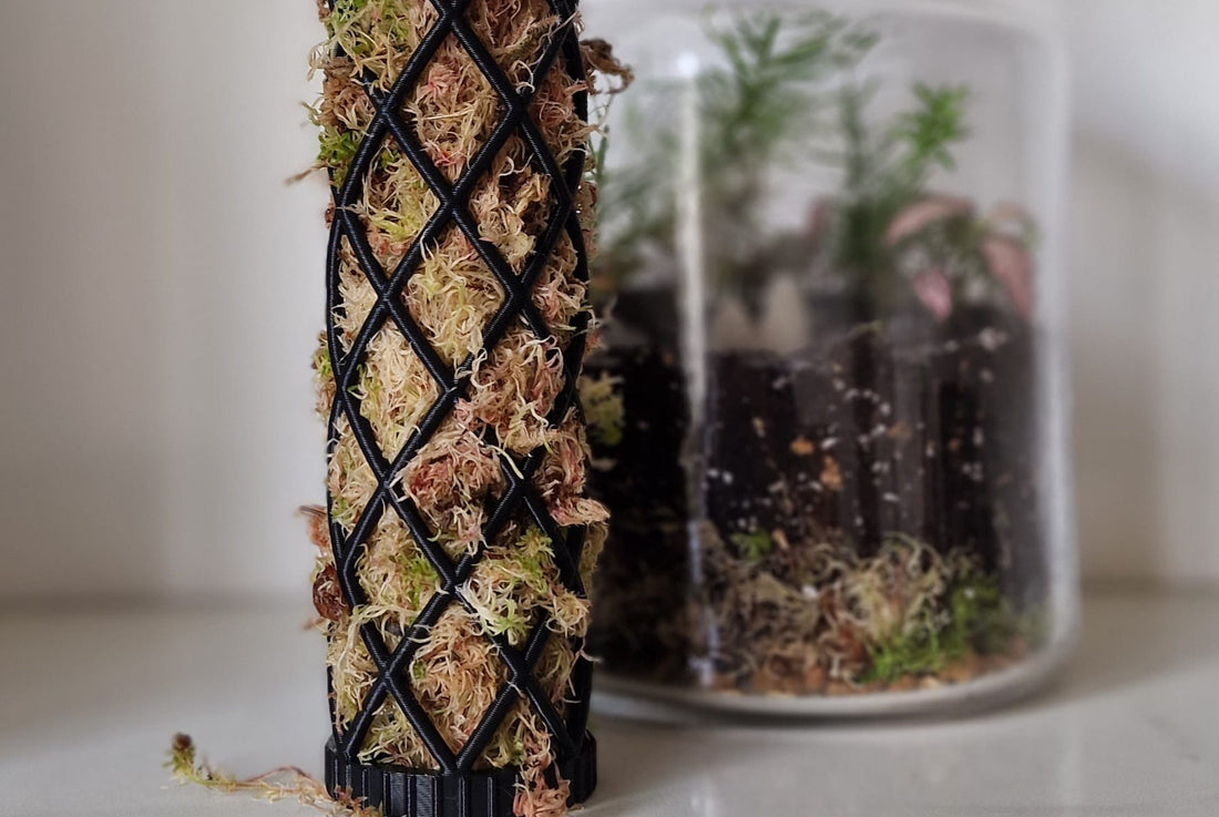 Why we are 3D printing our moss poles