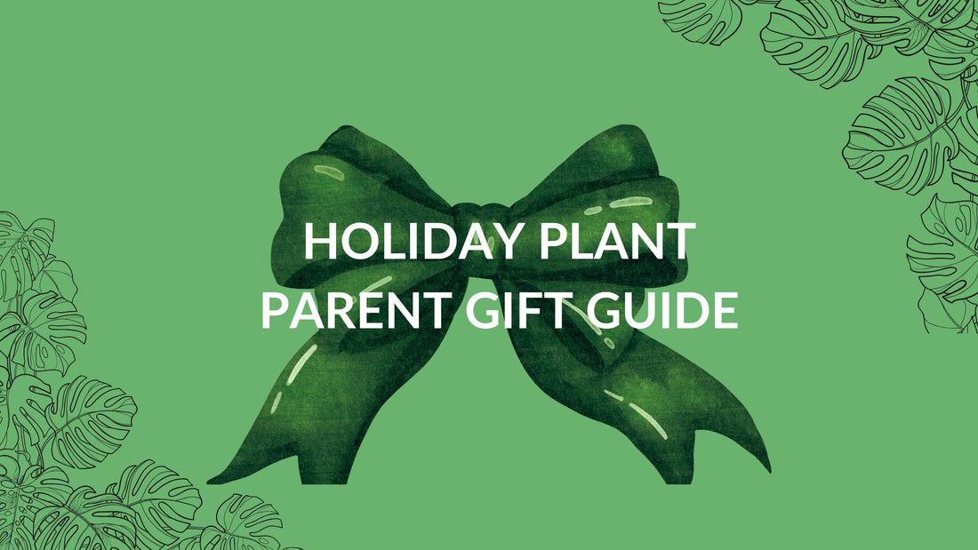 Holiday gift ideas for plant lovers: green thumb gift guide - updated 2024