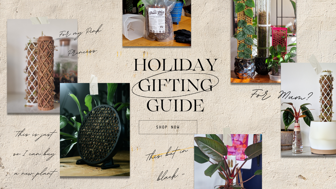 M3D Holiday shopping Guide - plant parent gifts from us