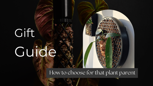 M3D shopping guide - plant parent gifts from us (updated 2025)