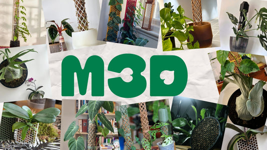 M3D holiday shopping guide - plant parent gifts from us