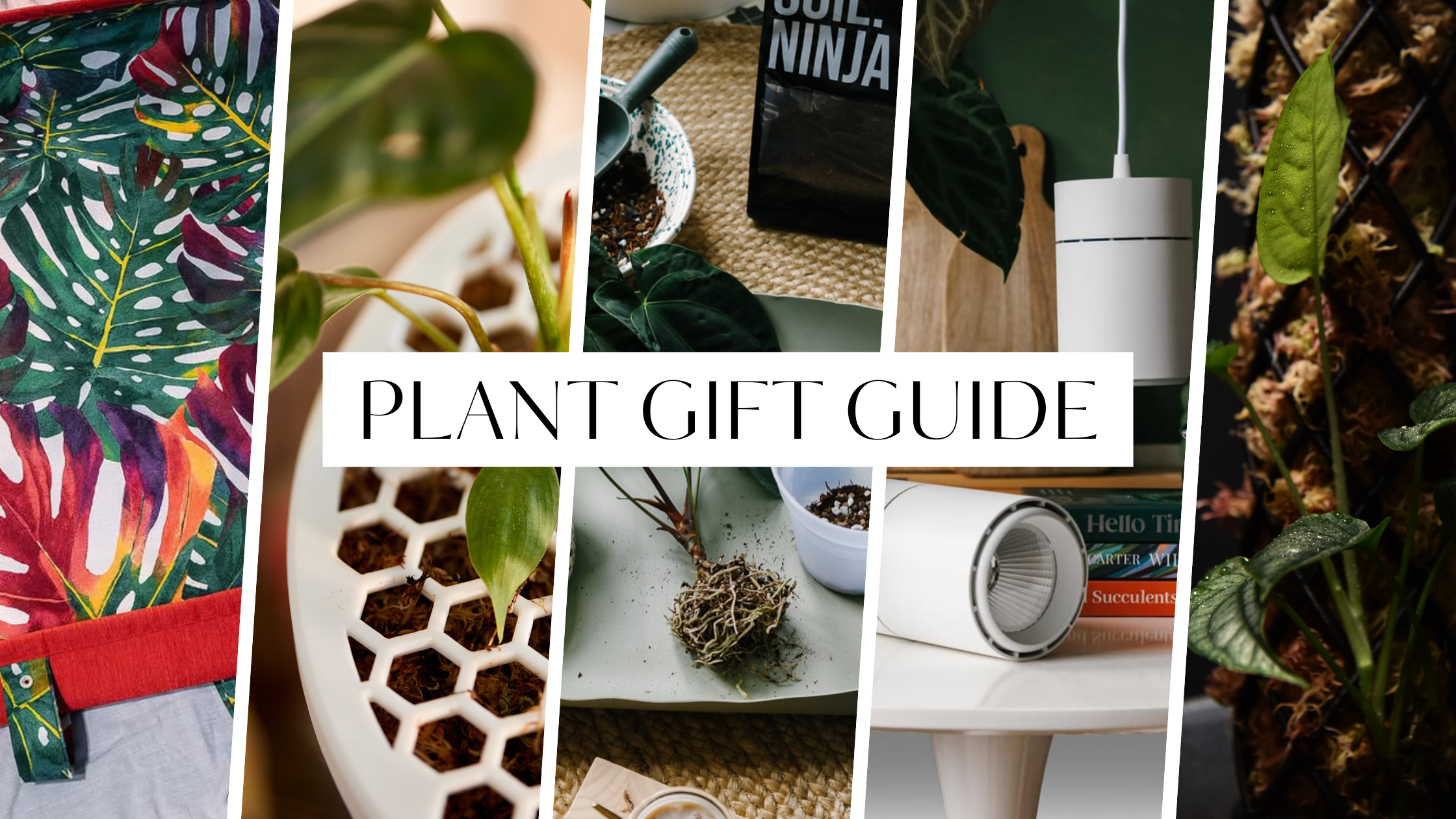 The ultimate gift guide for plant parents (updated 2025) – Mythos3Design