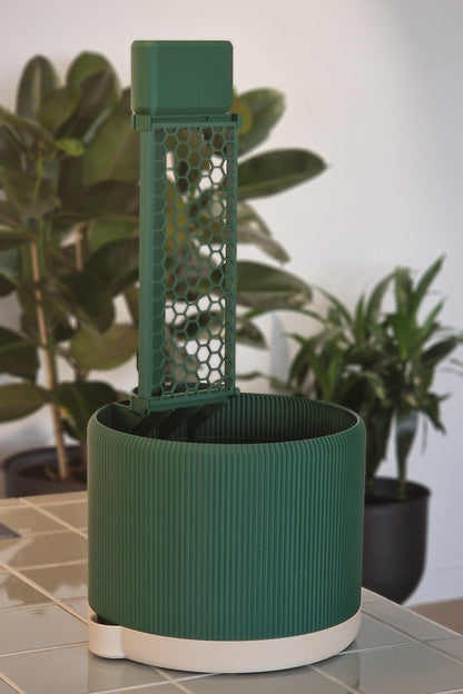 Pine green anchor planter