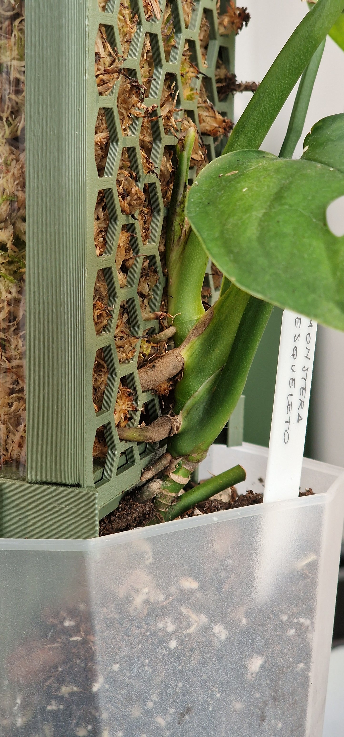 D-Shaped Moss Pole - Honeycomb Pattern