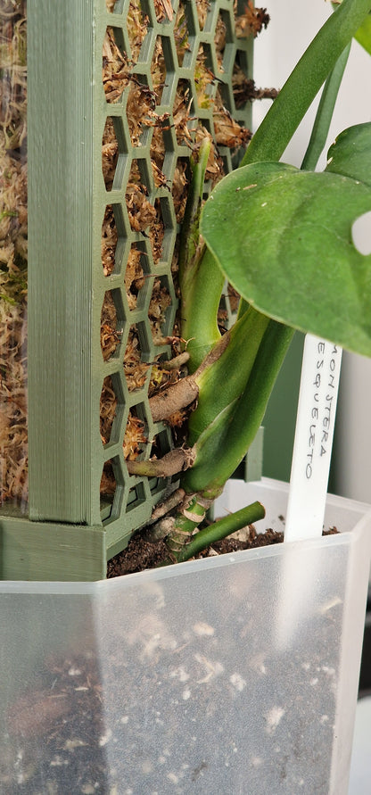 D-Shaped Moss Pole - Honeycomb Pattern