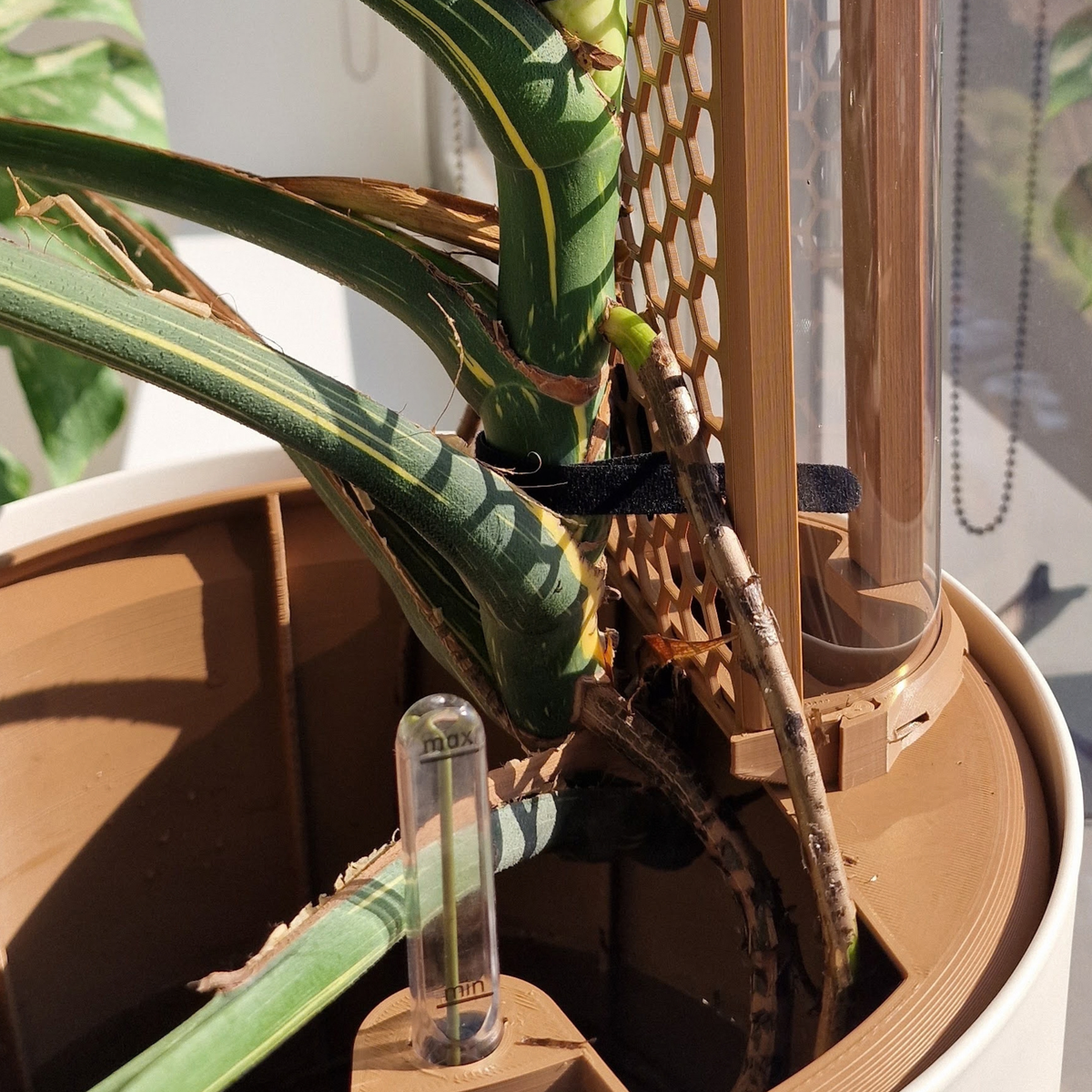 Anchor Insert - Self-watering and SemiHydro growing (Work in Progress)