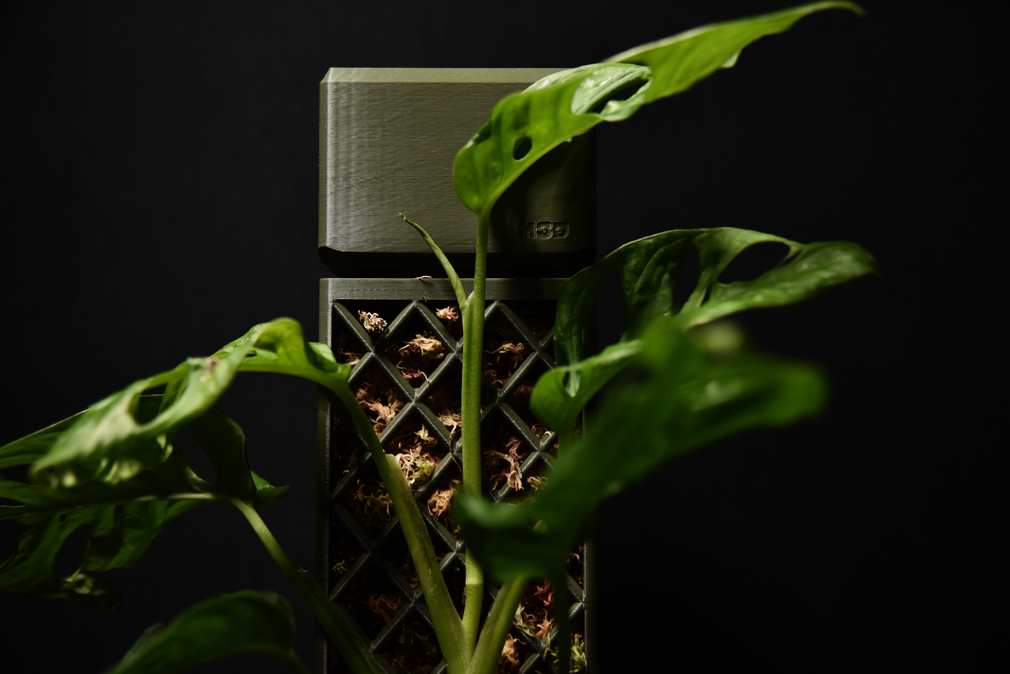 Demi-D-Shaped Moss Pole Kit with SlowDrip Cap (Diamond Pattern)