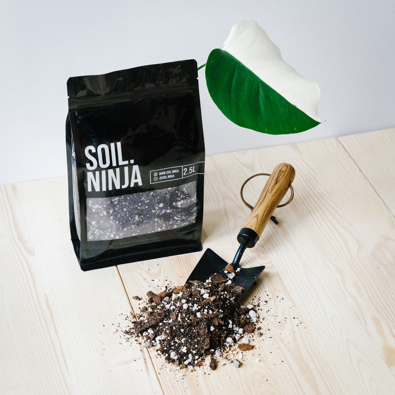 philodendron monstera soil Substrate Blend - Soil for Monstera and Philodendron
