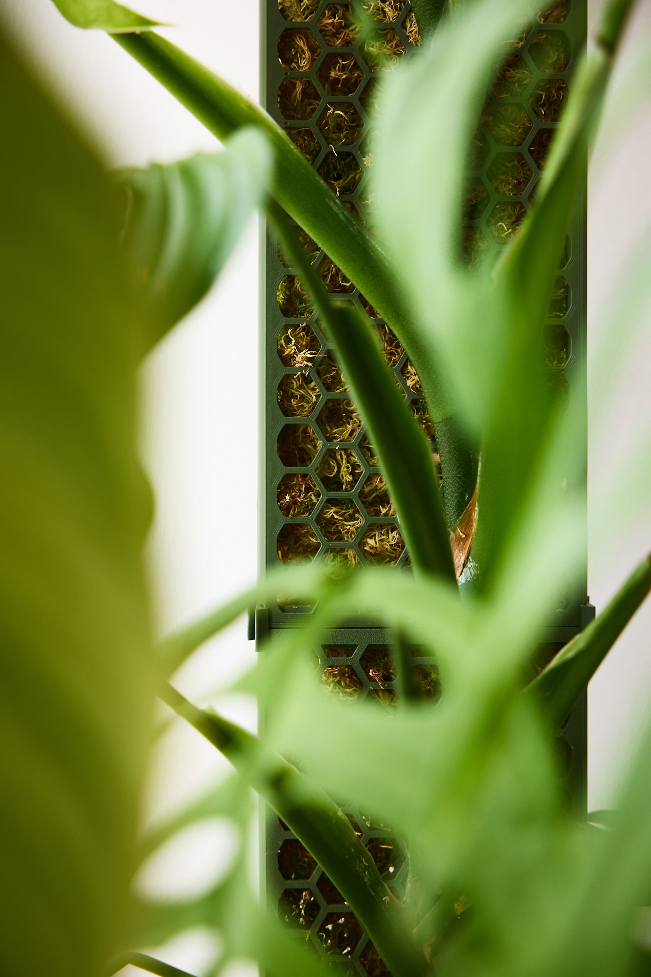 D-Shaped Moss Pole - Honeycomb Pattern
