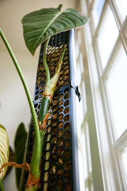 D-Shaped Moss Pole - Honeycomb Pattern