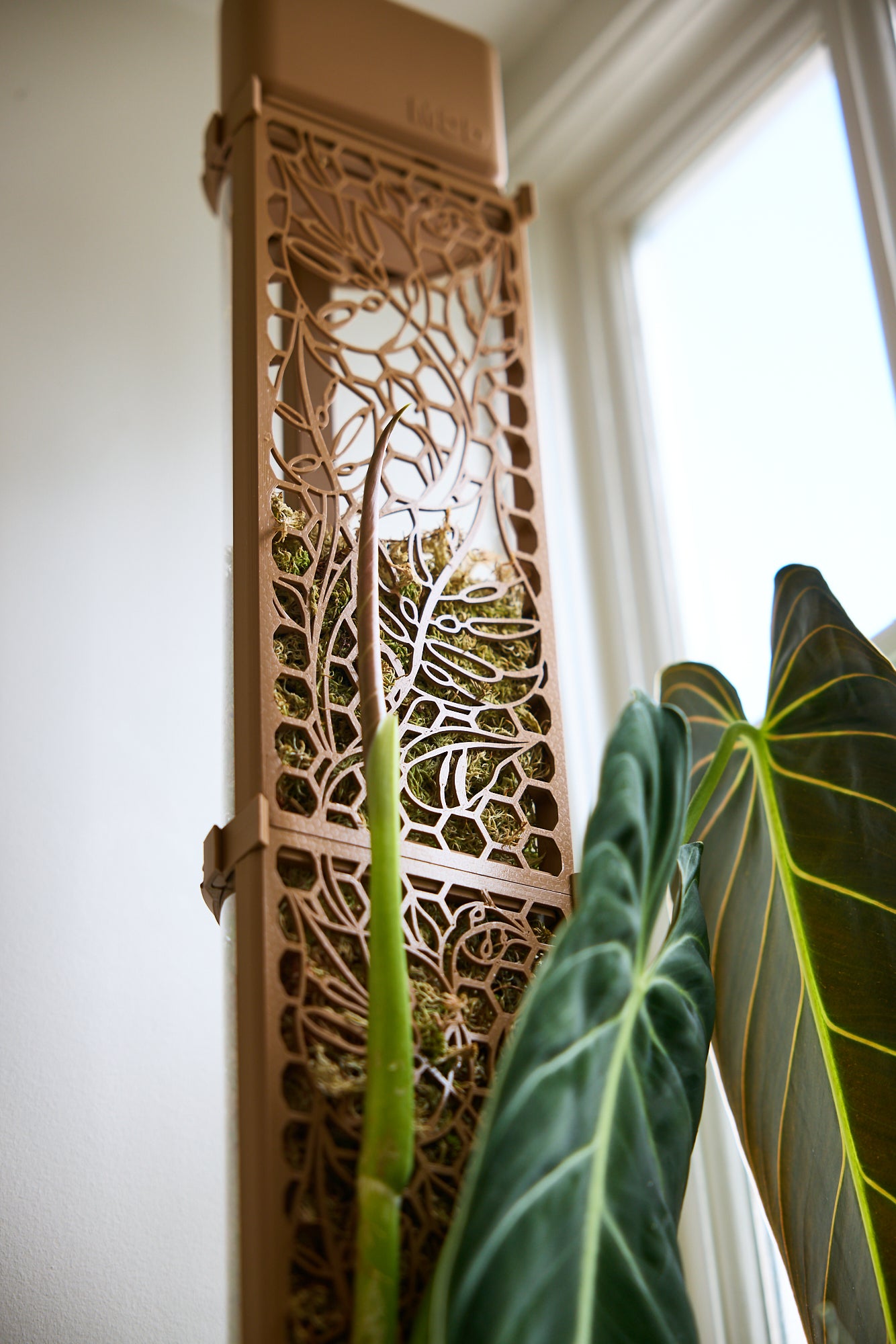 D-Shaped Moss Pole - Monstera Pattern