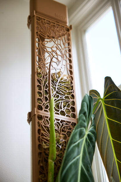 D-Shaped Moss Pole - Monstera Pattern