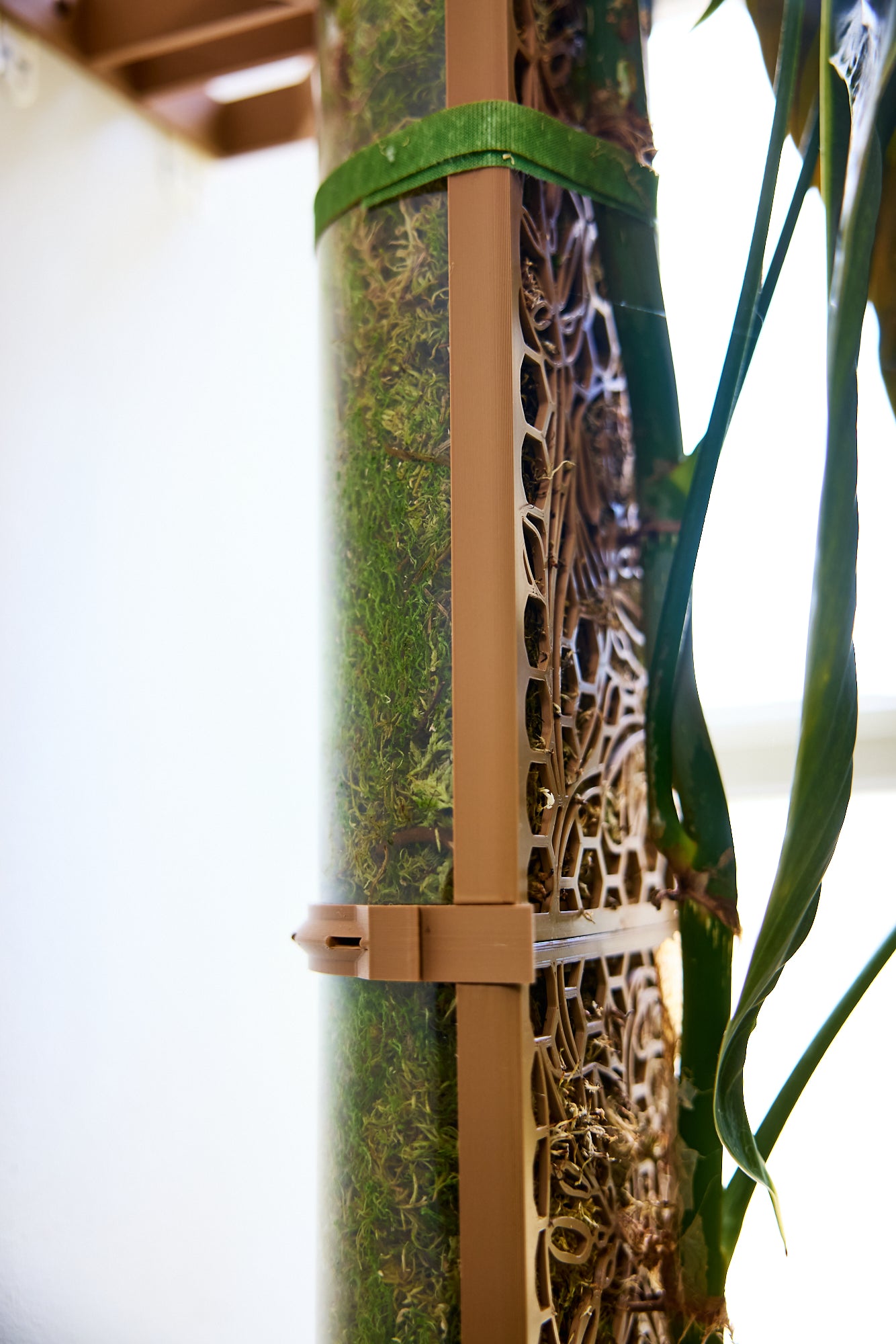 D-Shaped Moss Pole - Monstera Pattern