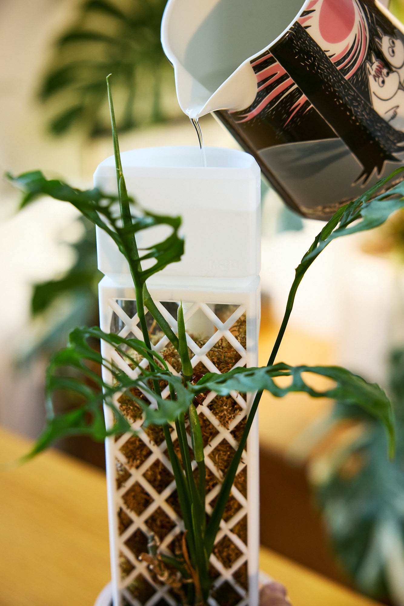 Demi-D-Shaped Moss Pole Kit with SlowDrip Cap (Diamond Pattern)
