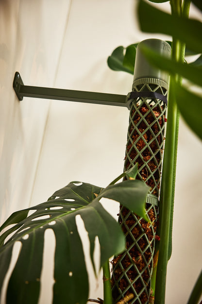 Wall Bracket for Securing Moss Poles