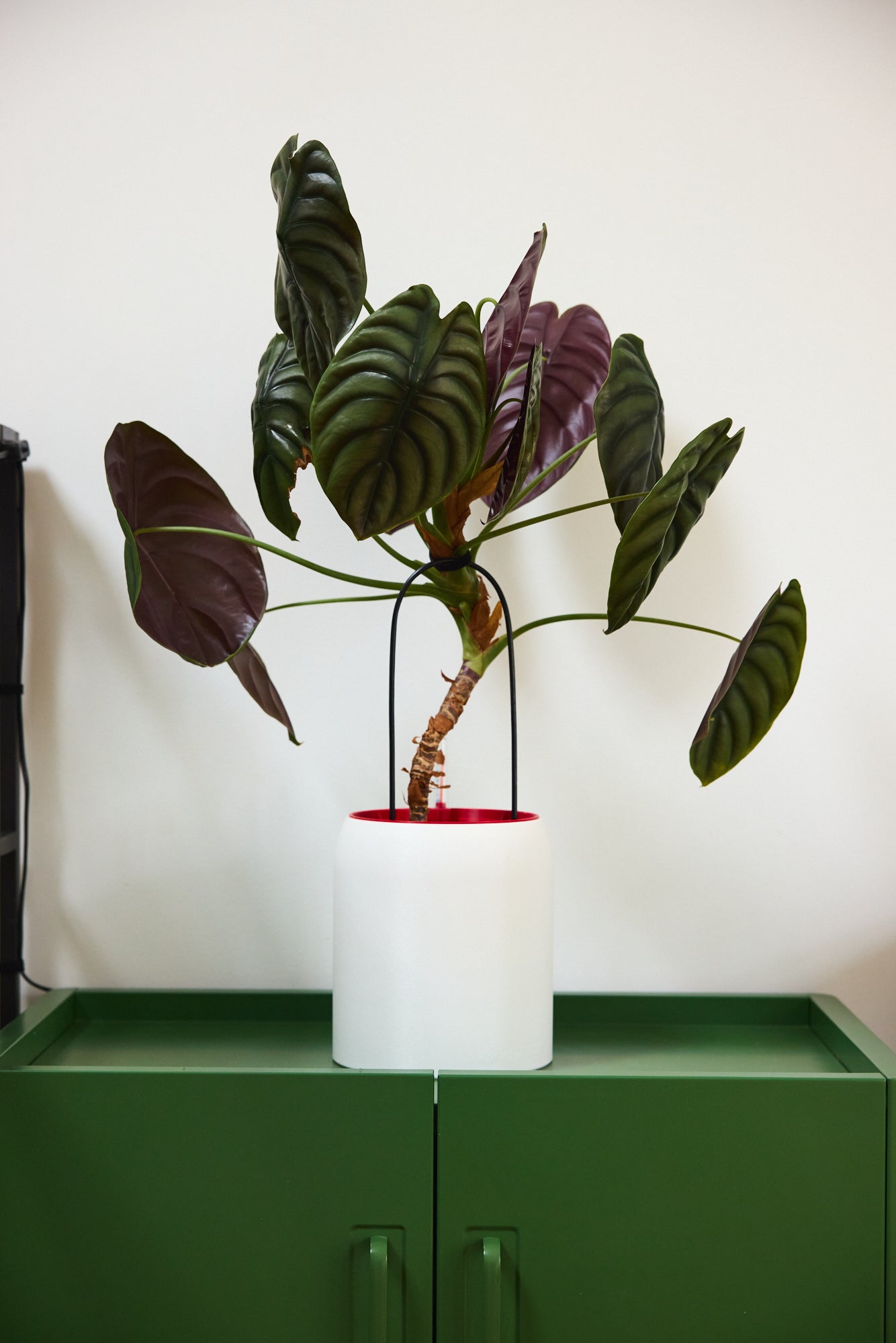 SemiHydro Planter - Kaivo