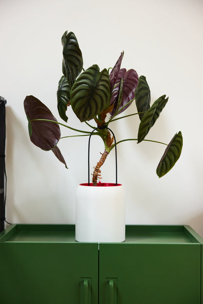 SemiHydro Planter - Kaivo