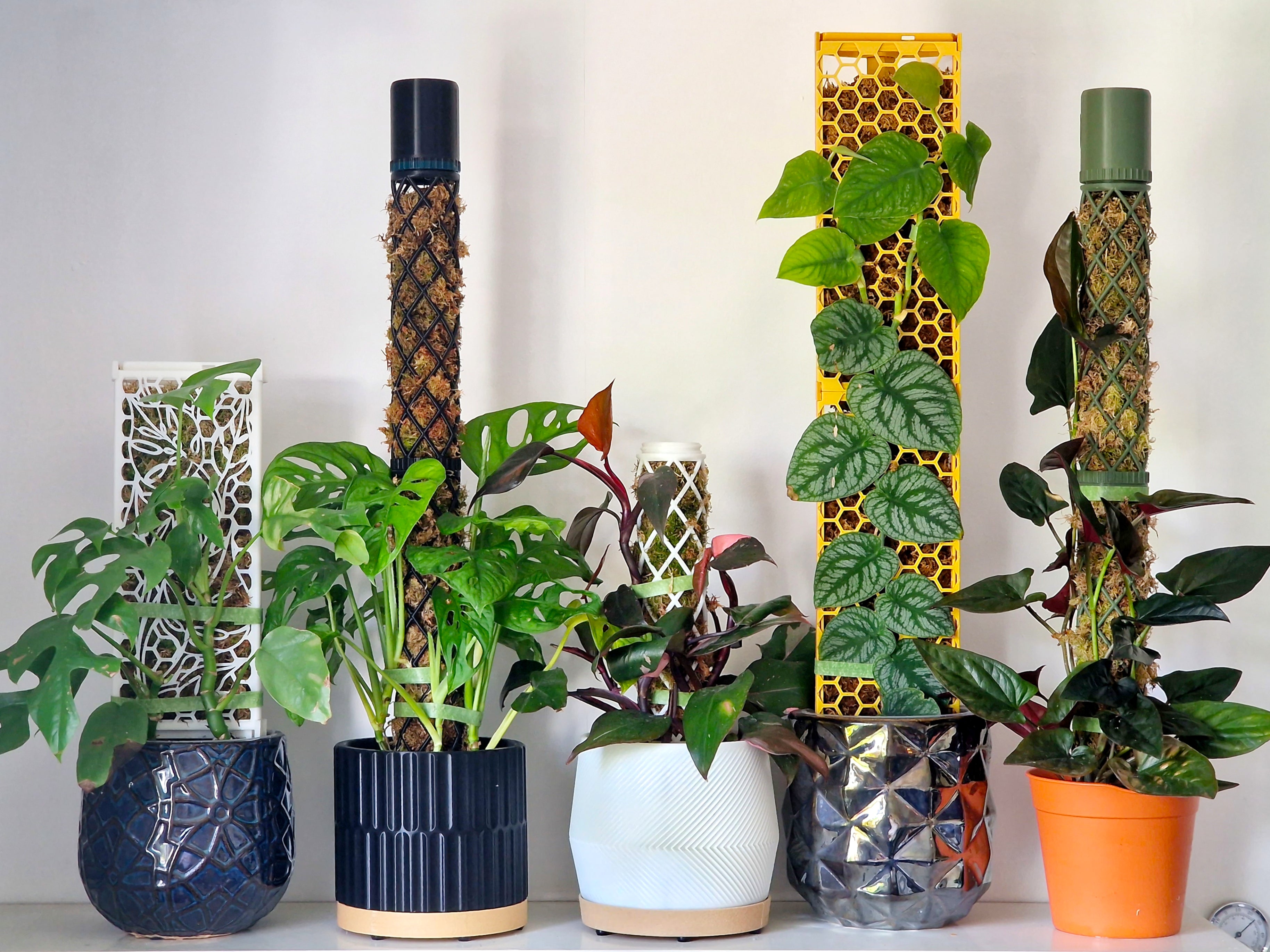 What size and style should I choose for my moss pole? – Mythos3Design
