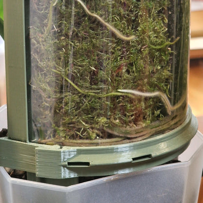D-Shaped Moss Pole - Monstera Pattern