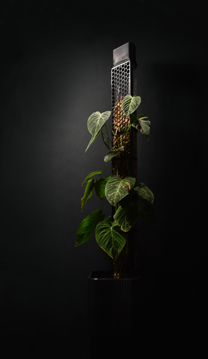 Black planter with moss pole