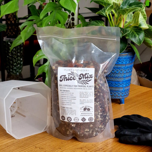 2.5 litre bag of soil mix for aroids