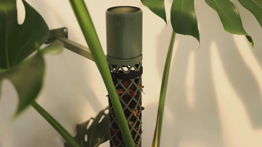 XXL-Line Modular Moss Pole