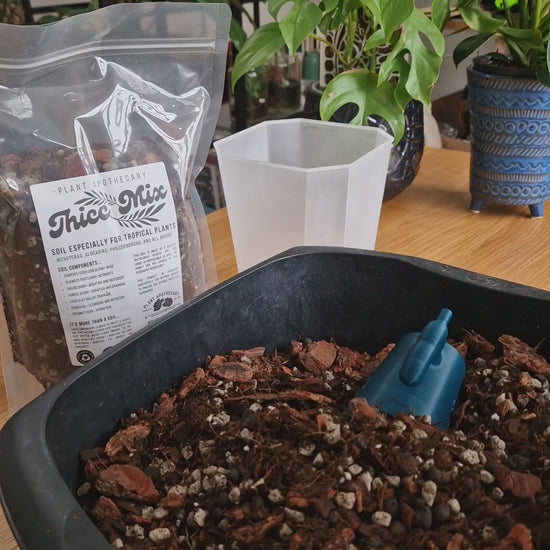 Shovelling soil into a pot with a scoop