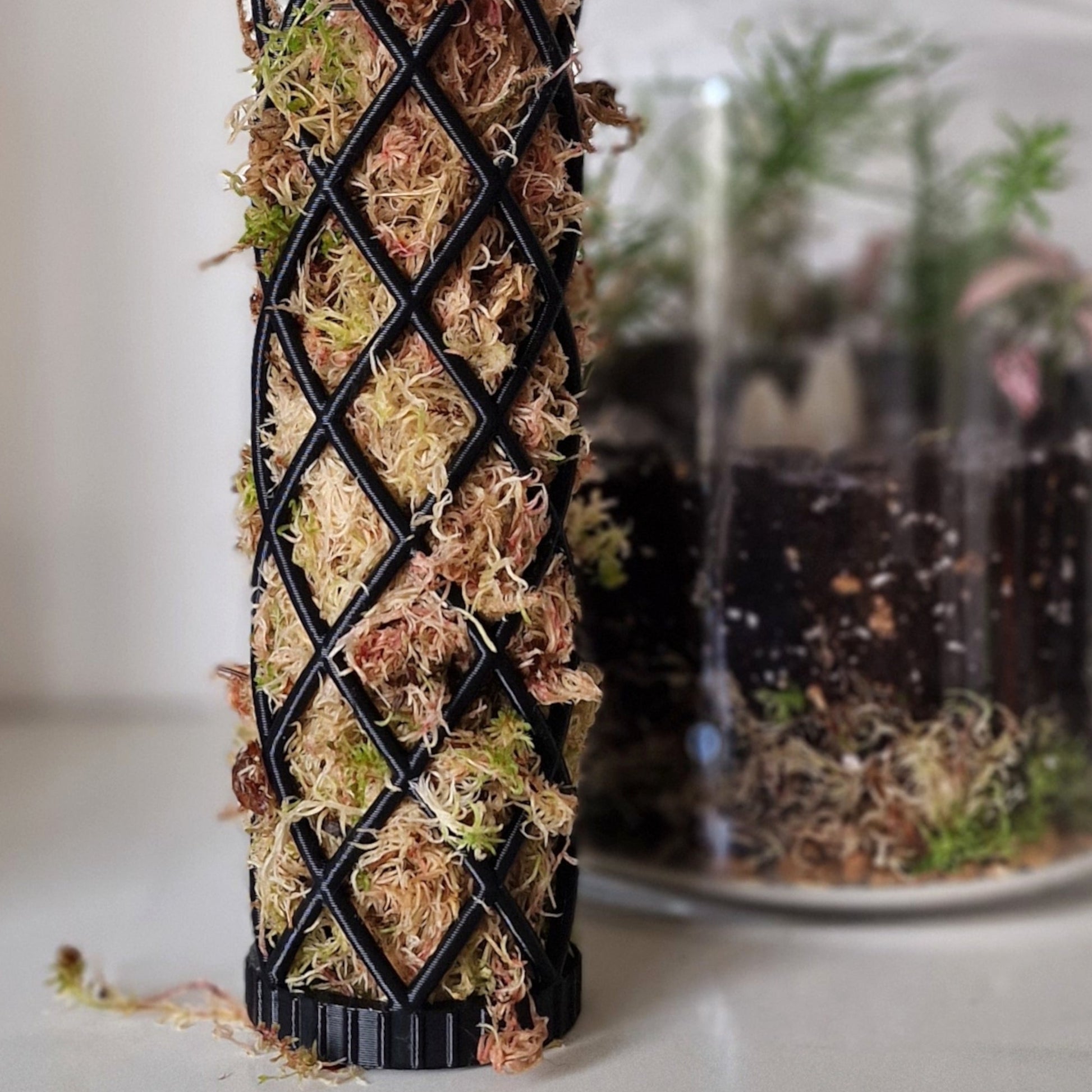 moss pole moss XL Moss Pole - Extensions - 25 cm long, 6 cm Diameter 200 cm